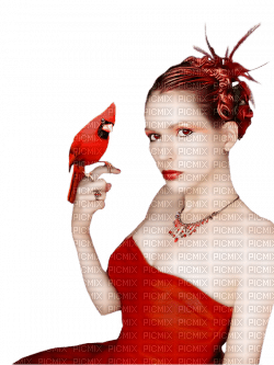 Kaz_Creations Woman Femme  Red Bird - png ฟรี