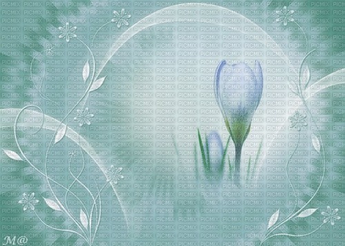 bg-blå-blomma--background-blue-flower - zadarmo png