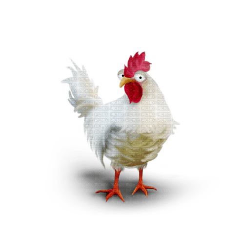 Una gallina blanca - gratis png