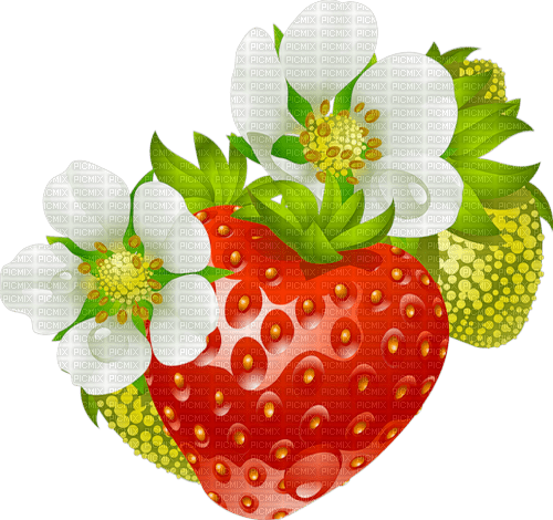 wild strawberries Bb2 - nemokama png