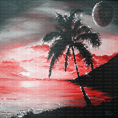 sunset beach palm summer animated dolceluna - Δωρεάν κινούμενο GIF