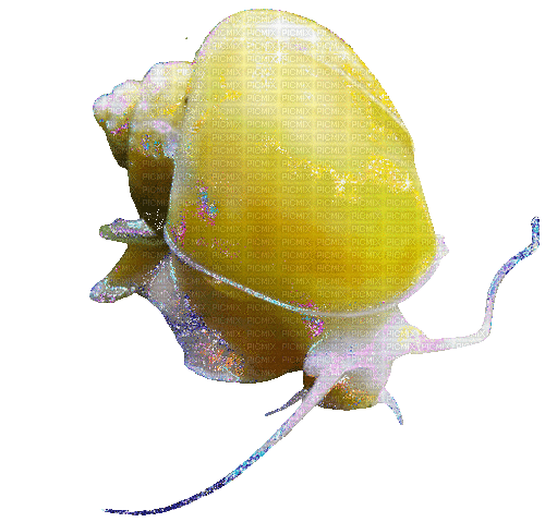 apple snail - Gratis animeret GIF