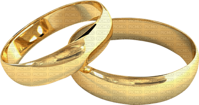 Wedding Rings - zdarma png