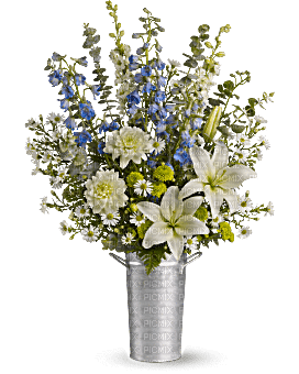 Kaz_Creations Deco Flowers Vase Colours - 免费PNG
