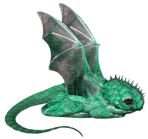ancient malachite dragon frog - kostenlos png