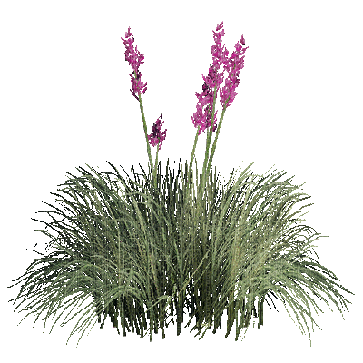 hierba flores  gif dubravka4 - Бесплатный анимированный гифка