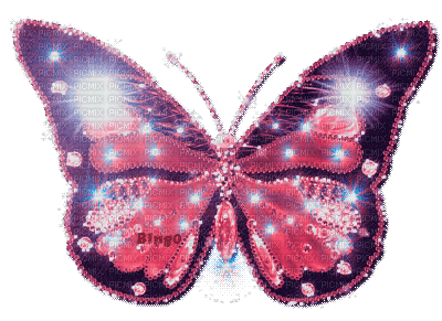 Y.A.M._Summer Flowers Decor butterflies - Ilmainen animoitu GIF