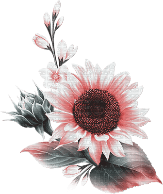 soave deco flowers sunflowers branch pink teal - gratis png
