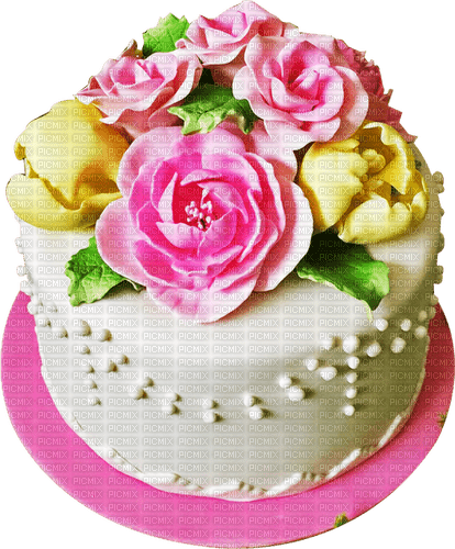 Birthday Cake - 免费PNG