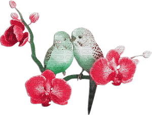 soave deco summer tropical bird parrot branch - PNG gratuit