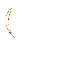coe orange - Бесплатный анимированный гифка