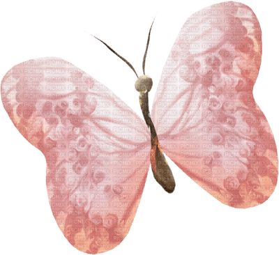 pink-butterfly-minou52 - PNG gratuit
