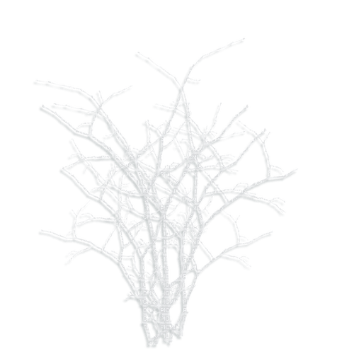 vinter-träd--buske-----winter-tree - shrub - Free PNG