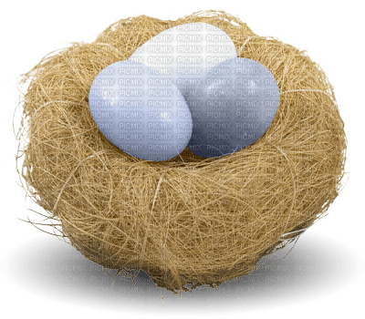 Kaz_Creations Birds Nest - ücretsiz png