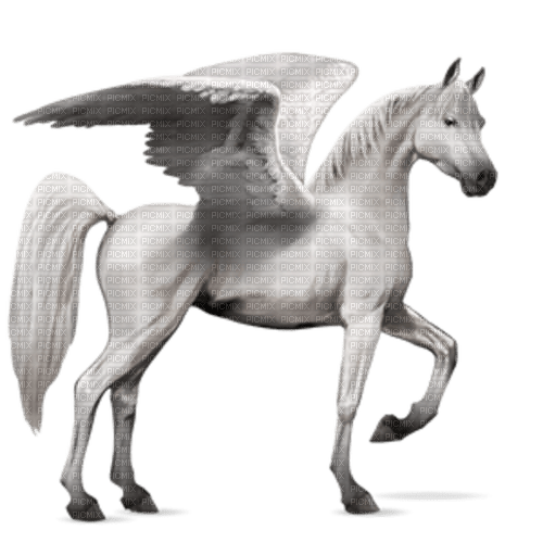 Kaz_Creations Pegasus - δωρεάν png