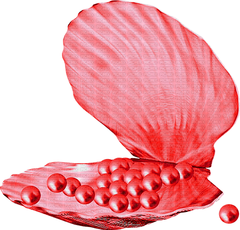 Seashell.Pearls.Red - zdarma png
