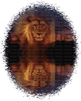leon by EstrellaCristal - Δωρεάν κινούμενο GIF