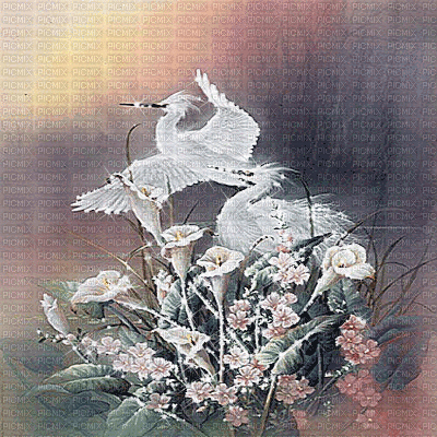 kikkapink oriental background japanese birds gif - Бесплатный анимированный гифка