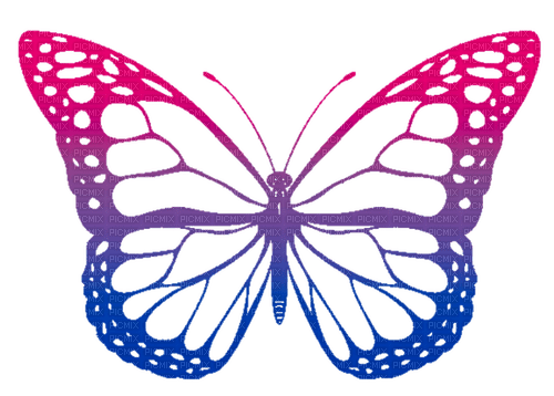 Bi Pride butterfly - ilmainen png