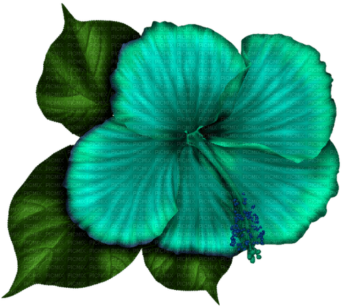 Tropical.Flower.Teal - Free PNG