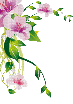 soave deco flowers spring branch corner animated - Darmowy animowany GIF