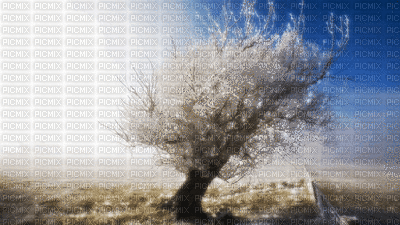 el árbol de la vida - Besplatni animirani GIF