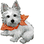 minou-ani-white--dog - Бесплатни анимирани ГИФ