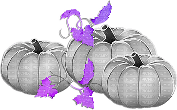 soave deco autumn thanksgiving pumpkin black white - PNG gratuit