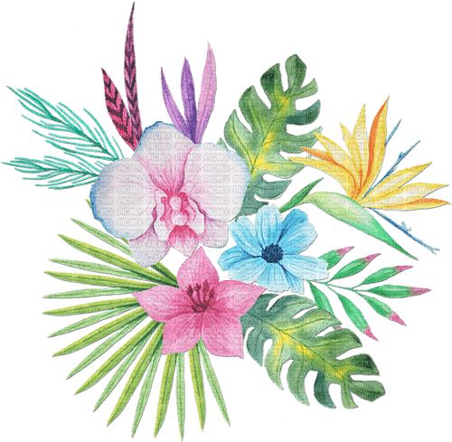 tropical flowers Bb2 - 免费PNG