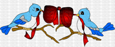 oiseau coeur - GIF animate gratis