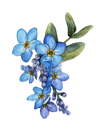 FLORES - zadarmo png