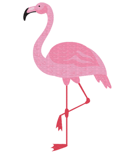 kikkapink flamingo pink - Free PNG