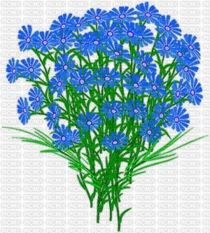 Blue Flower Bush - Free PNG
