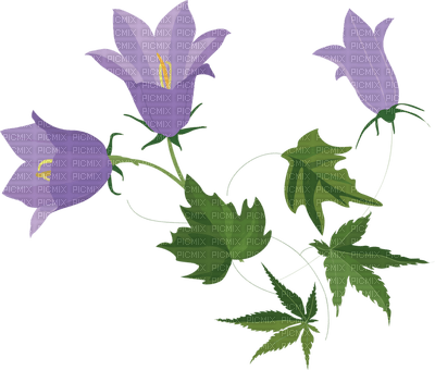 More flowers - kostenlos png