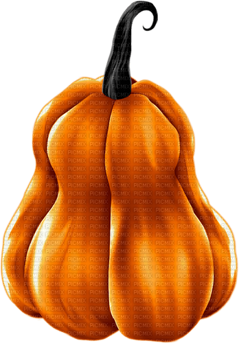 Pumpkin.Orange.Black - kostenlos png