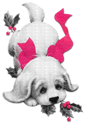soave christmas winter dog animals - PNG gratuit