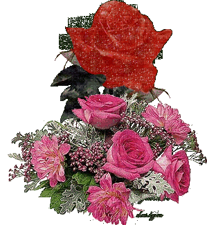 cecily-fleurs avec une rose animée - 免费动画 GIF
