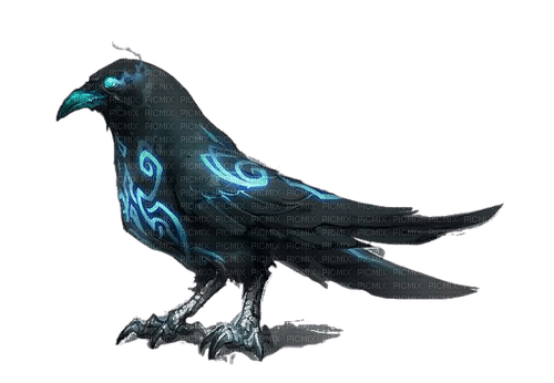 Crow - PNG gratuit