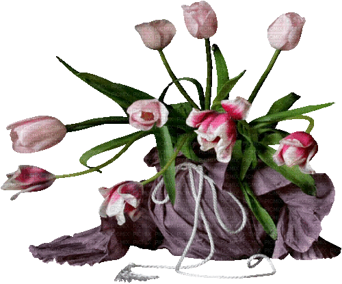 Blumen, Tulpen, Flowers - Nemokamas animacinis gif