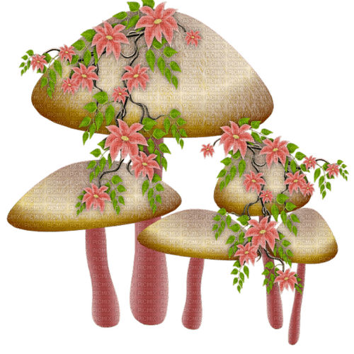 Hongos con flores - ücretsiz png