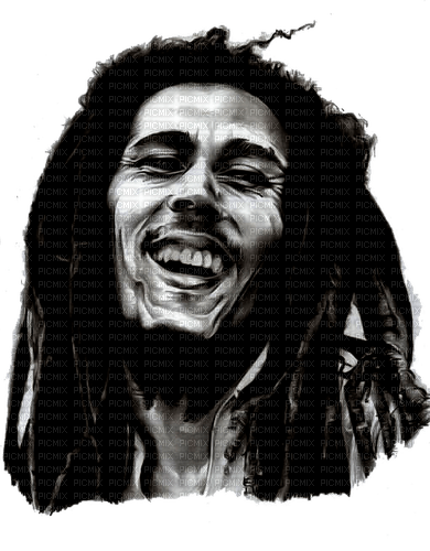 Bob Marley - zdarma png
