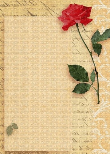 vintage scroll paper with rose - zdarma png