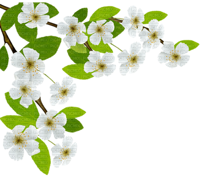 Kaz_Creations Spring Flowers - bezmaksas png