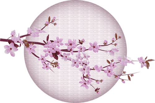 Moon Flower - darmowe png