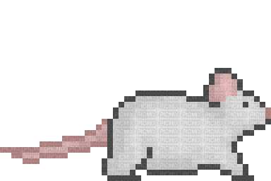 Rat Running - Darmowy animowany GIF