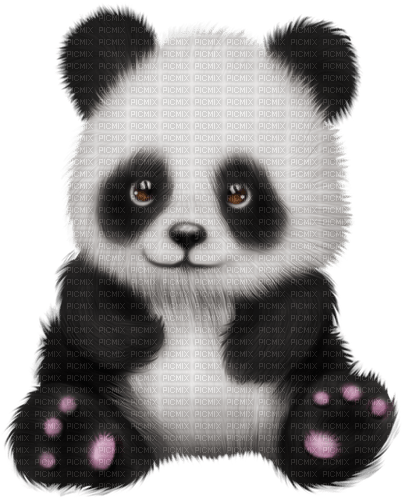 panda--djur-för barn - png gratis