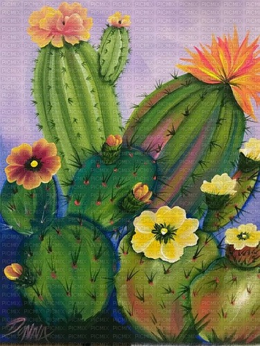 Background cactus - PNG gratuit