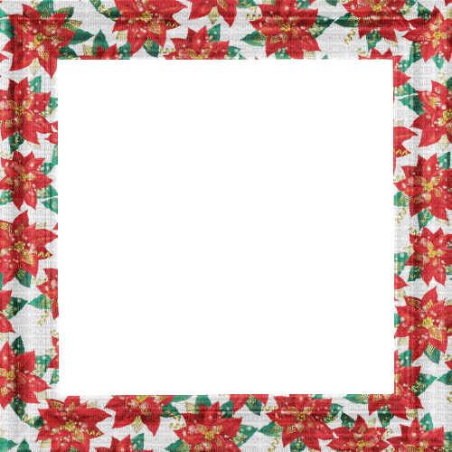 Poinsettia - Free PNG