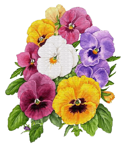 kikkapink vintage flowers deco spring summer - Free PNG