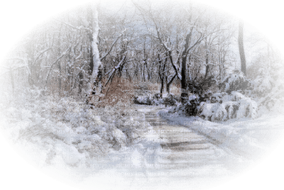 Winter Backgrounds - png ฟรี